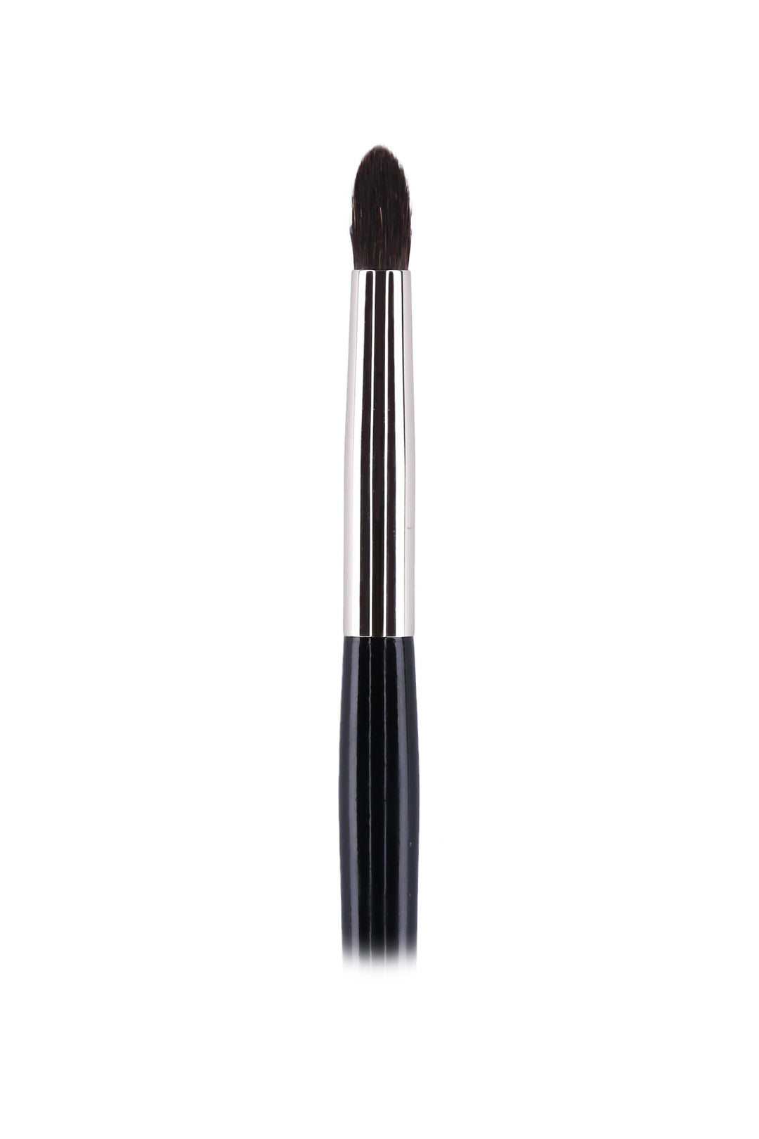 Pensula Leonardo nr 55