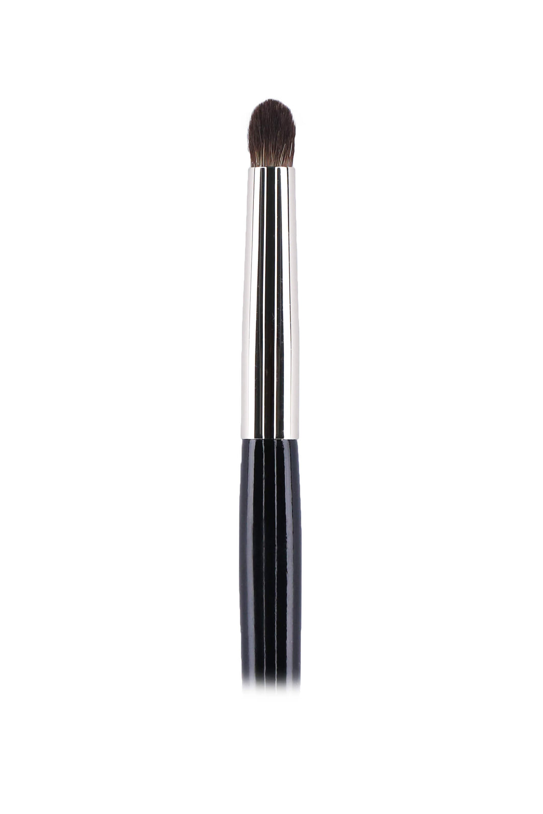 Pensula Leonardo nr 66