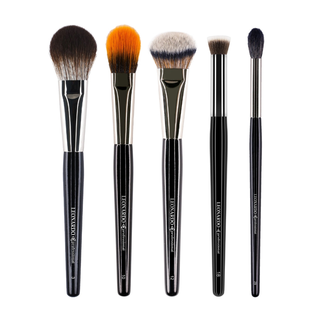 Set 5 pensule Leonardo