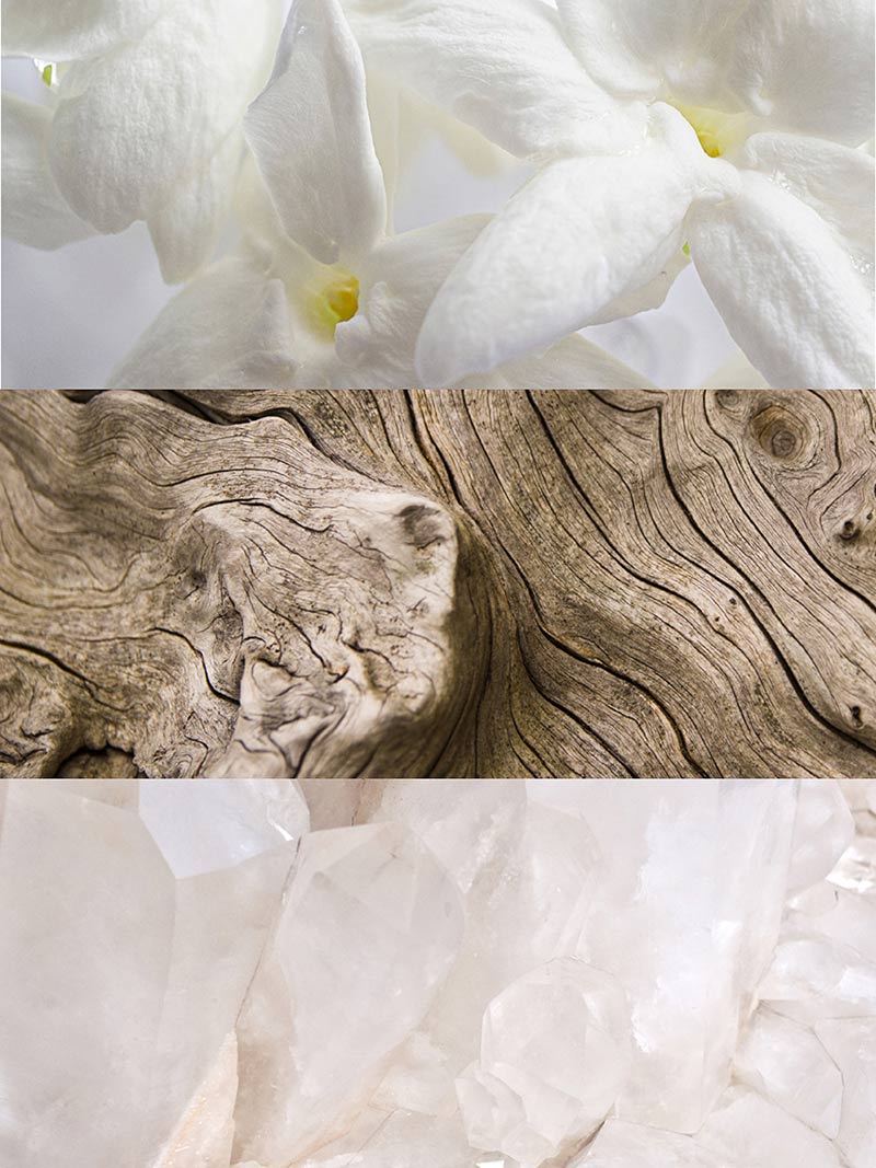 Apa de parfum Iris Yodeyma
