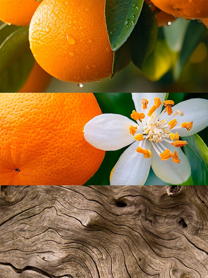 Apa de parfum Valia Yodeyma
